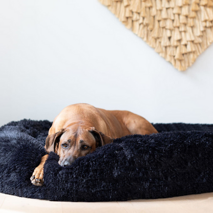 PoochesPlus | Orthopaedic Donut Cushion