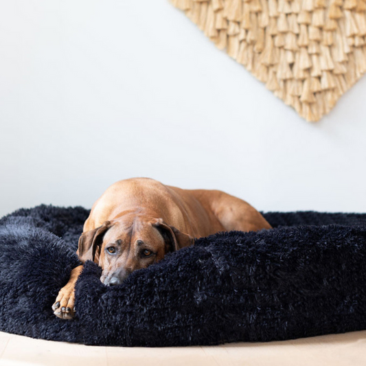 PoochesPlus | Orthopaedic Donut Cushion
