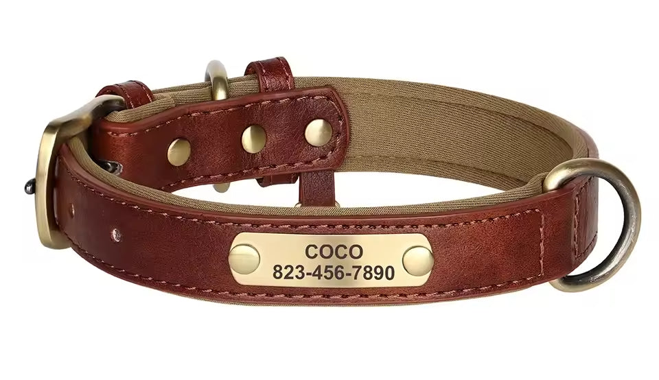 PoochesPlus | Personalised Leather Dog Collar - Engraved Nameplate