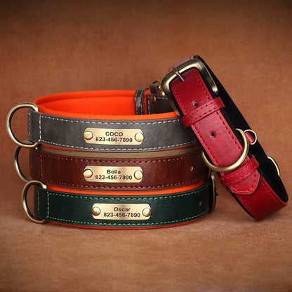 PoochesPlus | Personalised Leather Dog Collar - Engraved Nameplate