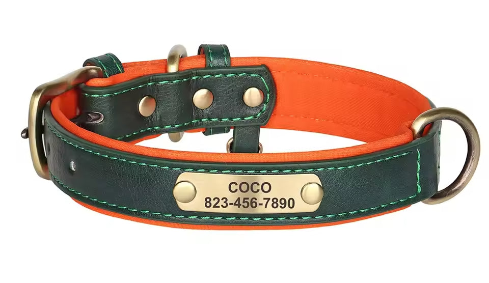 PoochesPlus | Personalised Leather Dog Collar - Engraved Nameplate