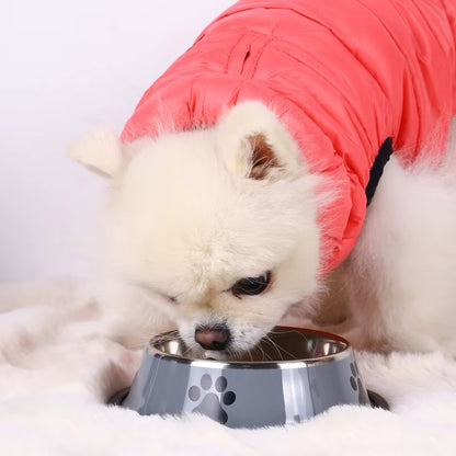 PoochesPlus | Feeding Bowl - Stainless Steel