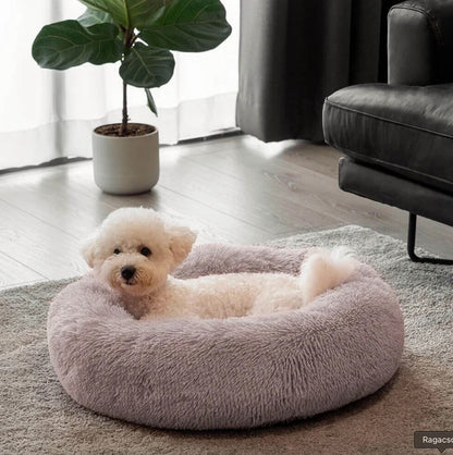 PoochesPlus | Orthopaedic Donut Cushion