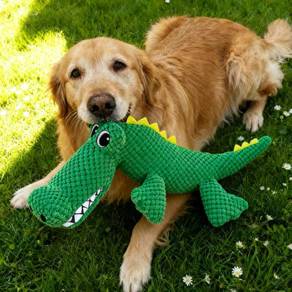 PoochesPlus |  Crocodile Enrichment Toy