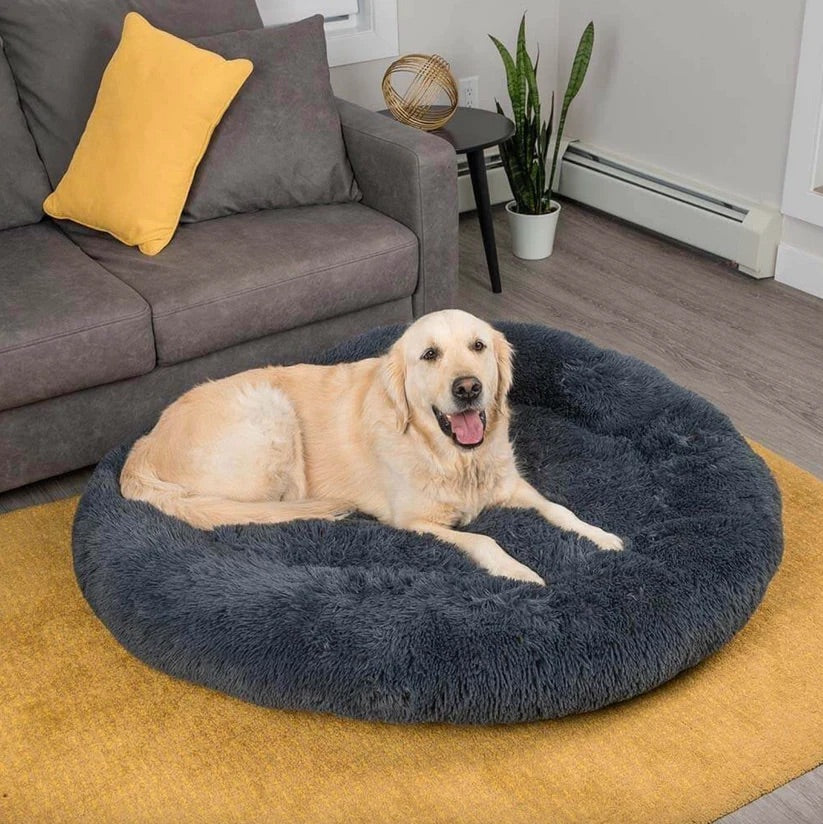 PoochesPlus | Orthopaedic Donut Cushion