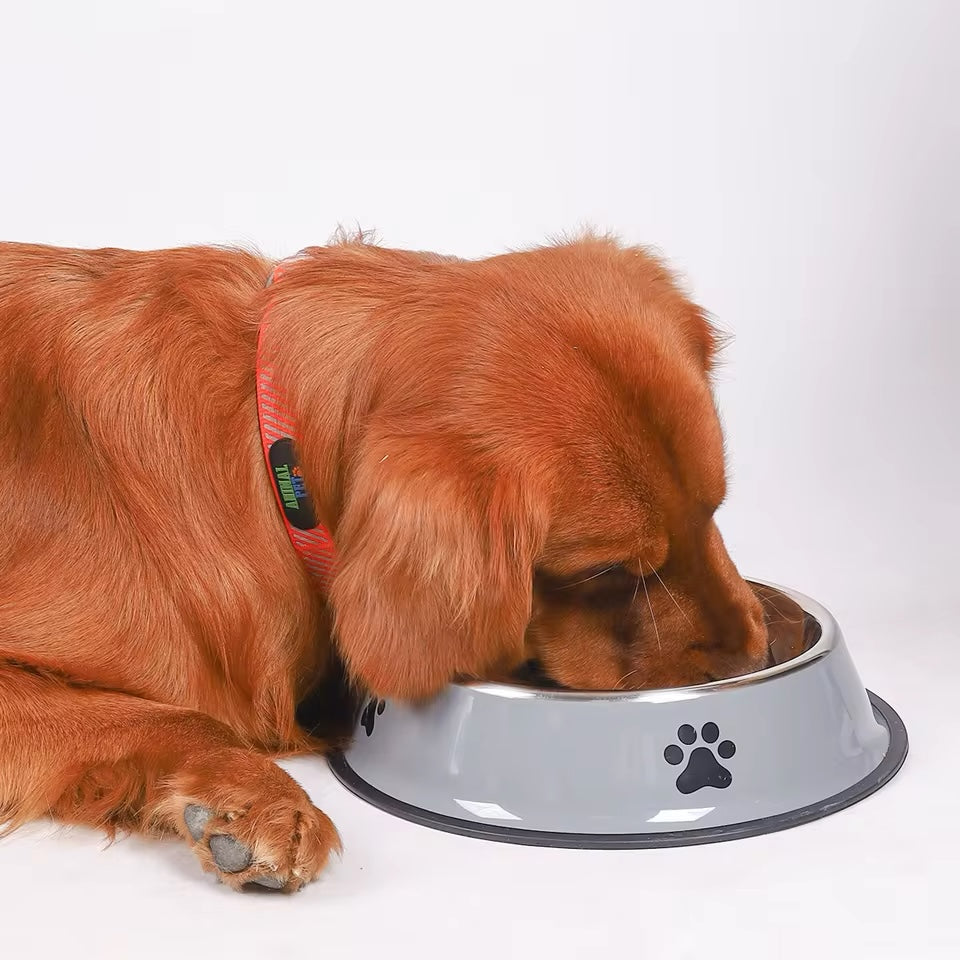 PoochesPlus | Feeding Bowl - Stainless Steel