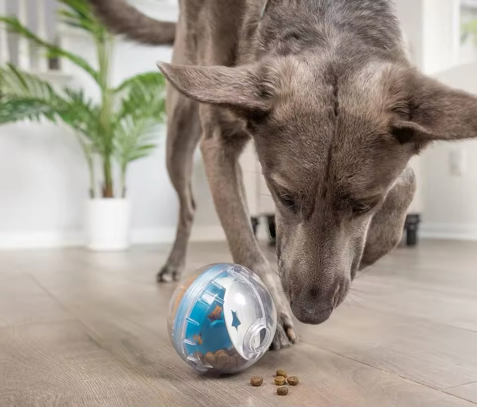 PoochesPlus | Slow Feed Puzzle