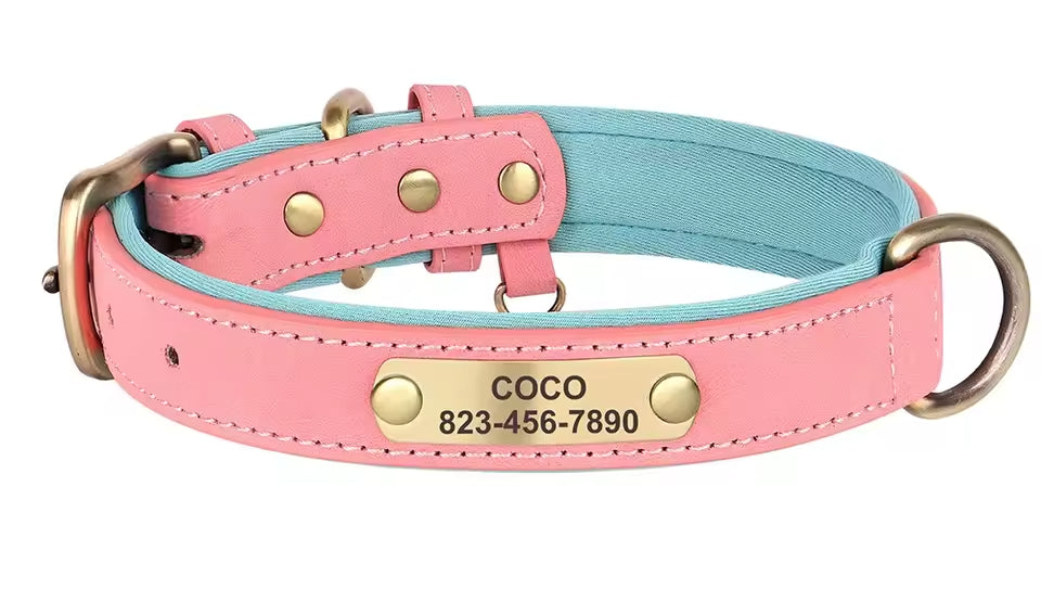 PoochesPlus | Personalised Leather Dog Collar - Engraved Nameplate