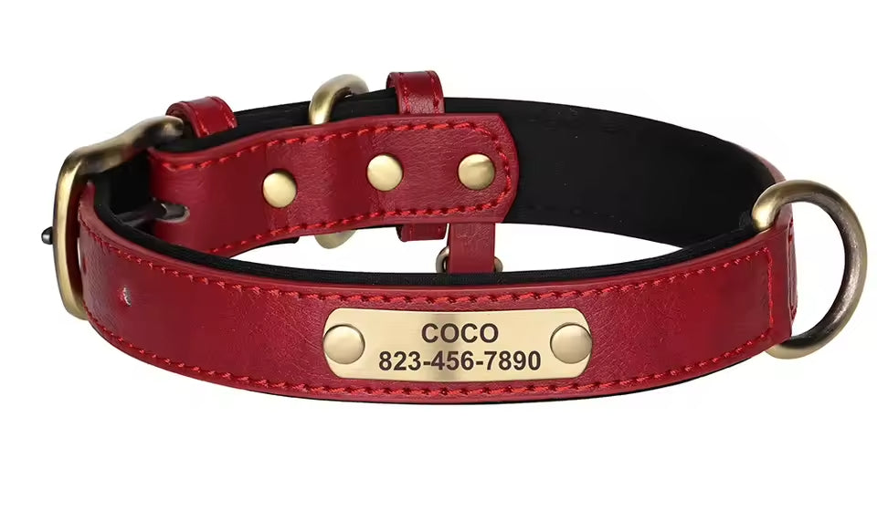 PoochesPlus | Personalised Leather Dog Collar - Engraved Nameplate